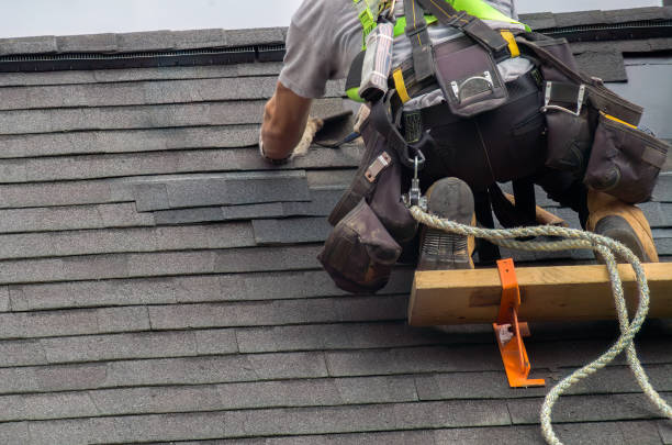 Best Flat Roof Repair Services  in Maywood, NJ